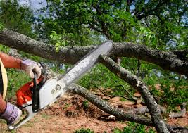 Landscape Design and Installation in Byhalia, MS